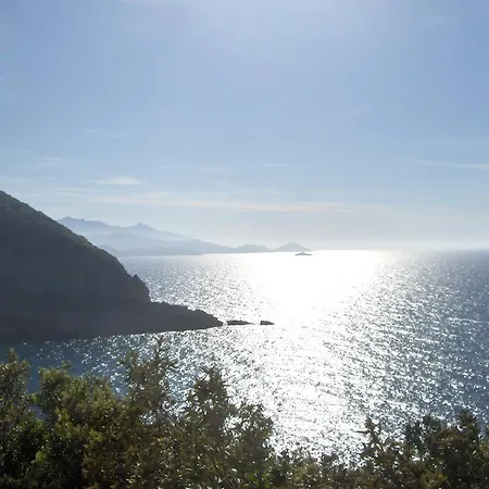 Cota Quinta Rio dellʼElba