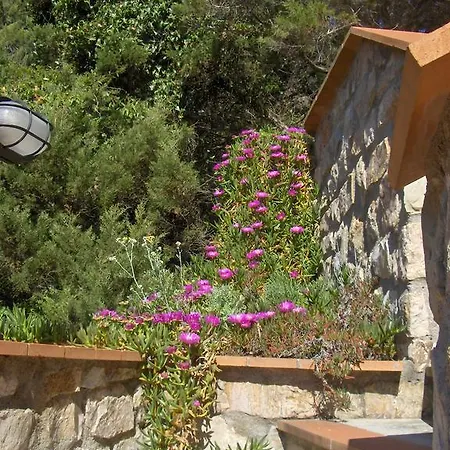 Cota Quinta Apartment