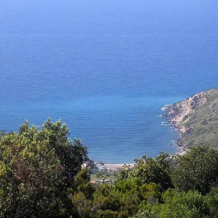 Apartment Cota Quinta *