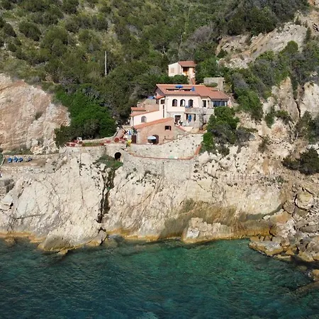 Cota Quinta *