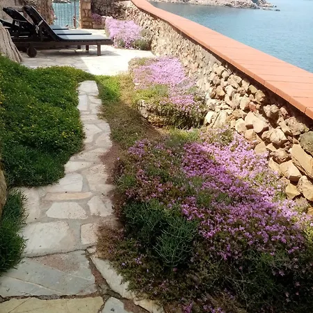 Cota Quinta *