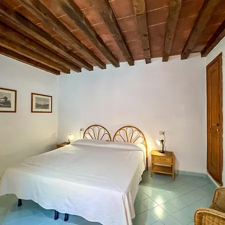 Cota Quinta