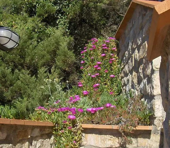 Cota Quinta 아파트