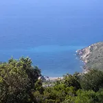 Apartament Cota Quinta *