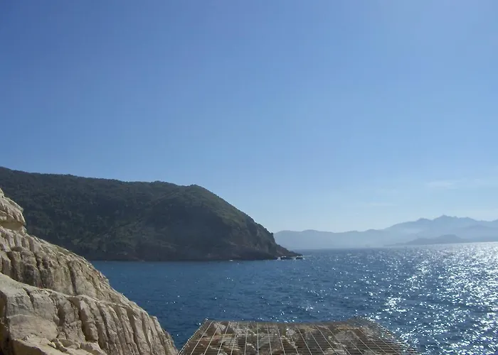 Cota Quinta Apartament